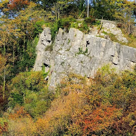 아파트 Linton Court Coach House