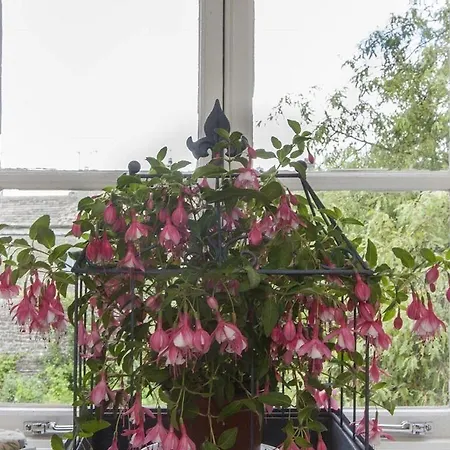 Linton Court Coach House Lägenhet